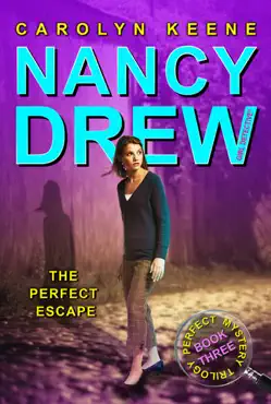 the perfect escape book cover image