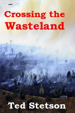 crossing the wasteland imagen de la portada del libro