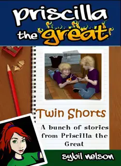 twin shorts book cover image