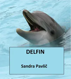 delfin imagen de la portada del libro