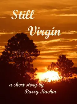 still virgin book cover image