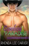 Cowboy Paradise synopsis, comments