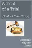 A Trial of A Trial (A Mock Trial Story) sinopsis y comentarios