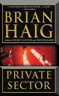 private sector book cover image