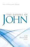 NIV, Gospel of John synopsis, comments