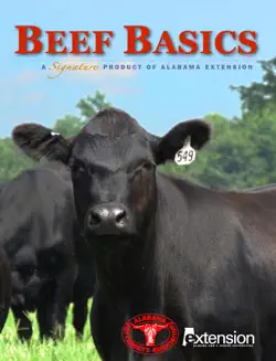 beef basics book cover image
