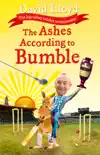 The Ashes According to Bumble synopsis, comments