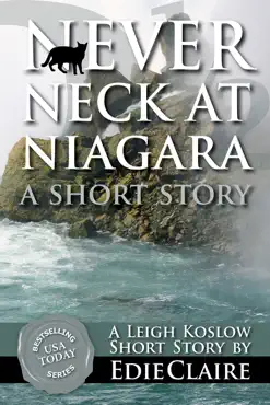 never neck at niagara book cover image