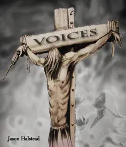 voices book cover image