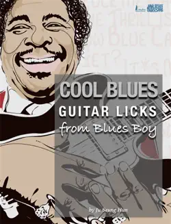 cool blues guitar licks book cover image