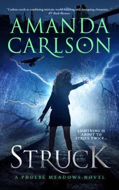 struck book cover image