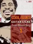 Cool Blues Guitar Licks From Blues Boy 1 synopsis, comments