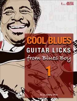 cool blues guitar licks from blues boy 1 book cover image