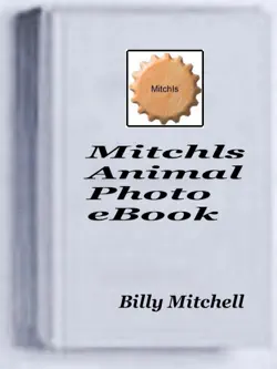 mitchls animal photo book book cover image