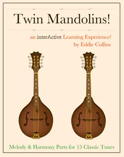 twin mandolins book cover image