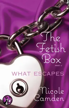 the fetish box, part two book cover image