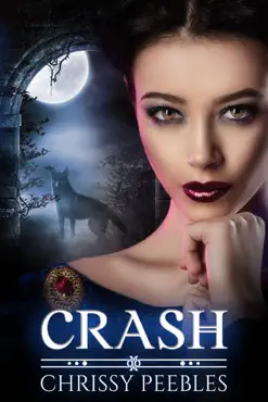 crash - libro 2 book cover image