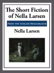 The Short Fiction of Nella Larsen synopsis, comments