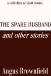 The Spare Husband and Other Stories synopsis, comments