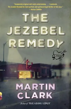 the jezebel remedy book cover image