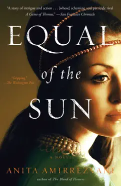 equal of the sun book cover image