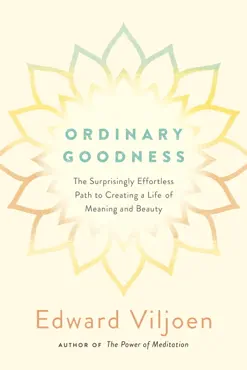ordinary goodness book cover image