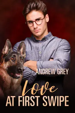 love at first swipe book cover image