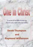 One in Christ synopsis, comments