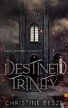 Destined Trinity synopsis, comments
