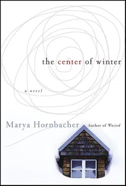 the center of winter book cover image