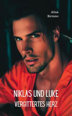 niklas und luke book cover image