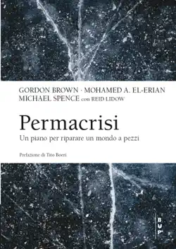 permacrisi book cover image