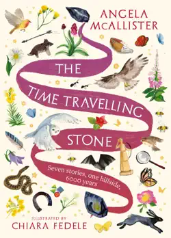 the time travelling stone book cover image