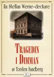 Tragedin i dimman synopsis, comments
