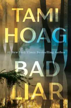 bad liar book cover image
