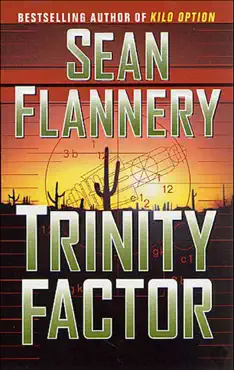 trinity factor book cover image