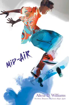 mid-air imagen de la portada del libro
