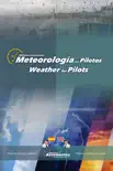 Meteorología para Pilotos. Weather for Pilots sinopsis y comentarios