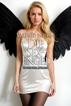 die sex-engel 1 erotischer roman imagen de la portada del libro