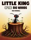 Little King of the Big Woods synopsis, comments