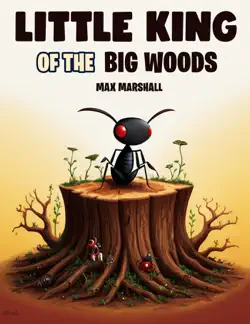 little king of the big woods book cover image