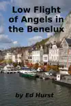 Low Flight of Angels in the Benelux sinopsis y comentarios