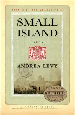 small island imagen de la portada del libro
