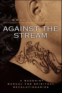 against the stream book cover image