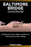 BALTIMORE BRIDGE CATASTROPHE synopsis, comments
