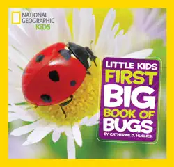 national geographic little kids first big book of bugs book cover image