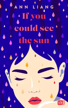 if you could see the sun book cover image