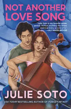 not another love song book cover image