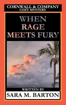 when rage meets fury imagen de la portada del libro