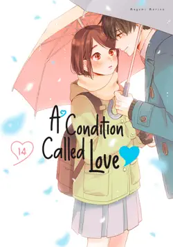 a condition called love volume 14 book cover image